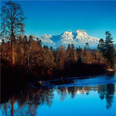 德州房产信息网